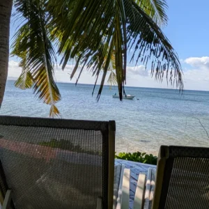 gallery-loungers-palm